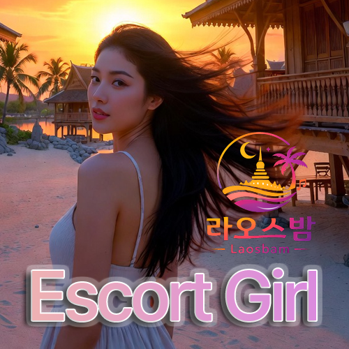 황제투어 1인 패키지